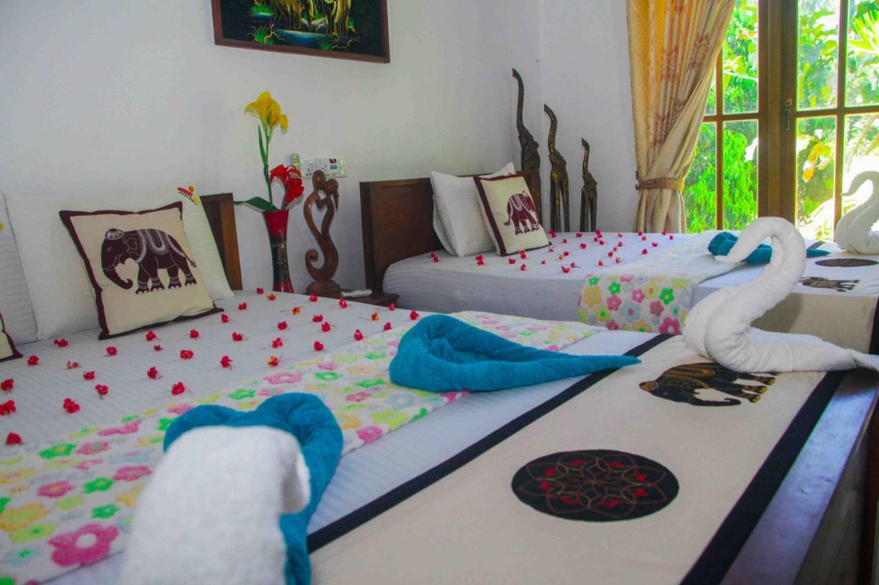 Hungry Lion Resort Sigiriya Luaran gambar